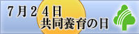 ７月２４日　共同養育の日 　共同養育で私たちが実現したいもの